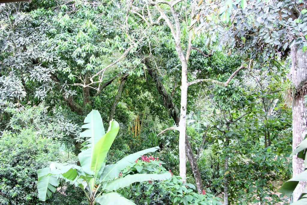 Hotel Monte Real La Fortuna ภายนอก รูปภาพ